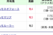 【競馬】マルモセーラの子が1日3勝！記録残る1977年以降初めて