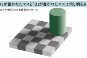 【米研究】錯覚が起きているのは“脳”ではなく、目の「網膜」だと判明！