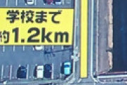 「これが日本の民度の低さ！」＝小学生が渡ろうとしているのに一向に止まらない車の映像が中国ネットで反響
