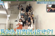 【日向坂46】BBQ回見直してるけどやっぱり神回すぎたｗｗｗｗｗｗｗｗｗ