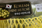 パクっても維持が出来ない欠陥民族　～　【朝鮮日報】過剰生産で糖度低下　韓国で人気が陰るシャインマスカット、反撃に転じる巨峰