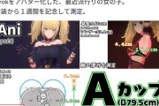 【悲報】同人作家さん、Grokアバター女の子の「バストサイズ」を測定して炎上するｗｗｗｗ