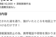 【ホワイト案件】タイミー「深夜に住宅街で猫を探すバイトです^^」お前らこんなの闇バイトか見極めれるか？