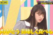 【乃木坂46】乃木中 宮城で終了か…のぎ動画とかでやってくれないもんかね