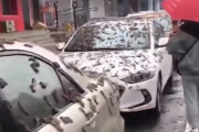 【動画】中国で「ミミズの雨」が大量に降る怪現象発生か！ぎゃあああああ