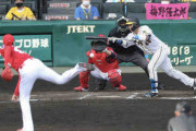 阪神・梅野　3球で3犠打　今日は「つなぎの2番」