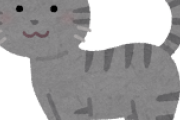 【画像】ウチの猫の性別どーっちだ？
