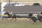 【競馬/きさらぎ賞】サトノアーサーｗｗｗｗｗｗｗｗ
