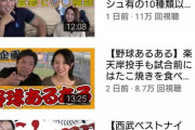 高木豊とかいうYouTuber