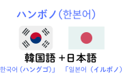 どうしても流行ってる事にしたいニダ！　〜　【ハンボノ】 日本の若者の間で韓国語と日本語を混ぜた「韓本語」が流行＝韓国ネットの反応は？