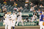 阪神が今季最長タイ４連勝　日曜の甲子園試合７連勝