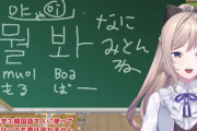 【にじさんじ】ナギの韓国語教室メッチァためになるな「モエバァ？チュギンダ！」「ドンアンミノミョン チュギンダ」