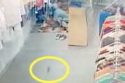 【地獄】男性のパンツの中に野ネズミが高速で侵入してくる動画ふたたび。