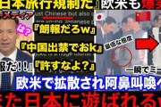駐日中国大使「ドイツ・イタリア・日本などのファシズム・軍国主義国家が再び侵略行動を取った場合、安全保障理事会の許可を要することなく、直接、軍事行動をとる権利を持っている」[11/22]
