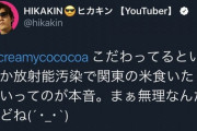 【悲報】ヒカキンさん、動画投稿せず毎日テレビ出演