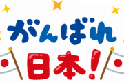 日本のピークを遅らせて医療崩壊を防ぐというコロナ対策ってさ・・・・