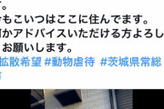 【悲報】ベトナム人さん、ネコ食っただけなのに住所を特定され日本人に叩かれる