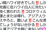 【超画像】朝青龍さん、ハワイで人種差別を受けてブチギレる