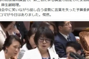 【中継なし国会】質疑議員のすぐ後ろで超楽しそうな蓮舫さんが話題　※Ｒ４「安倍総理、麻生副総理、委員会中に笑いながら話し合う姿勢に言葉を失った。愕然」