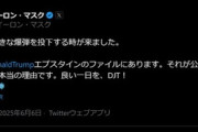 【悲報】イーロン･マスクとトランプが大喧嘩｢トランプはエプスタインファイルに含まれている｣｢私がいなければ選挙に負けていただろう｣ トランプ｢失望した｣