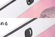 パソコンとか3DSとかあらゆる内側カメラにシール貼るの普通だよな？