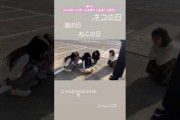 櫻坂46 猫と戯れる三期ちゃん 向井純葉 村井優 小田倉麗奈 石森璃花 遠藤理子
