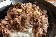 【画像有】肉丼作ったぞ