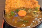 【画像】このカレーうどんはお前ら的にはありか？なしか？
