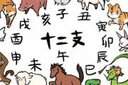 干支から追い出しても良さそうな動物