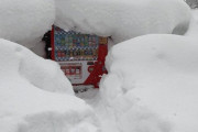 【画像】秋田の自販機ァ！