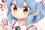 【東方】何かしらコレ？