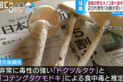 【速報】仕事帰りに道端のキノコを食った男、死ぬ…