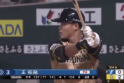 日ハム王柏融.208 2本 OPS.599