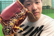 ロッテのエース「新しいグラブできた！練習用だけどカッコいい！！」