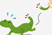 【生物】進化の法則に反してる？　進化の過程で四肢をなくし、再び取り戻した例外的なトカゲ