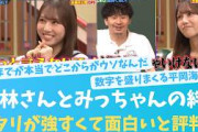 ひなあいの絆？若様のみっちゃんへのアタリが強め？【KO ZH EN ES RU SUB】#한국어 자막