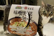 【画像】このレベルのカップ麺にいくら出せる？