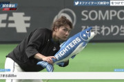 日ハム伊藤大海のしゃけまるの扱いｗｗｗｗｗｗｗｗ