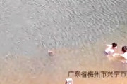 【動画】貯水池で泳いでいた少年2人が溺れてしまう事故。