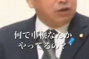 【動画】国民民主党・榛葉賀津也幹事長「なんで車検なんかやってるの？いらなくね？」
