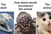 外国人「頭蓋骨から動物を考察すると恐ろしいことになると判明！」