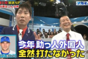 「僕たちは、ベイスターズ大好き芸人です！」←キャスティングされそうな人といえば