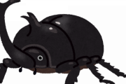 【朗報】カブトムシがキモくない最大の理由がこちらｗｗｗｗｗｗｗｗ