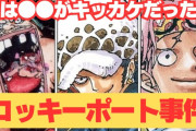 【ワンピース】トラファルガー・ローさん、とんでもないミスを犯してしまうｗｗｗｗ