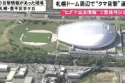 【悲報】札幌ドームさん、完全にヒグマのすみかになる