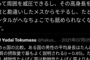 【画像】息子を強者男性にする方法ｗｗｗｗｗｗｗｗ