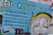 Vtuber アルスのイラストがコンビニのポップで使われてたけどこれって大丈夫なんか？←バリバリセーフです