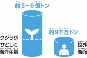 【悲報】クジラさん、魚を食い荒らしていて人間が食べる魚が無くなる