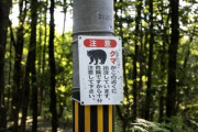 【悲報】OSO18を駆除した役場に抗議の電話が殺到「なぜ殺した」