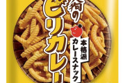 韓国人「日本で買ったお菓子が想像以上にカレー味全開だった件」→「羨ましい体験談…（ﾌﾞﾙﾌﾞﾙ」